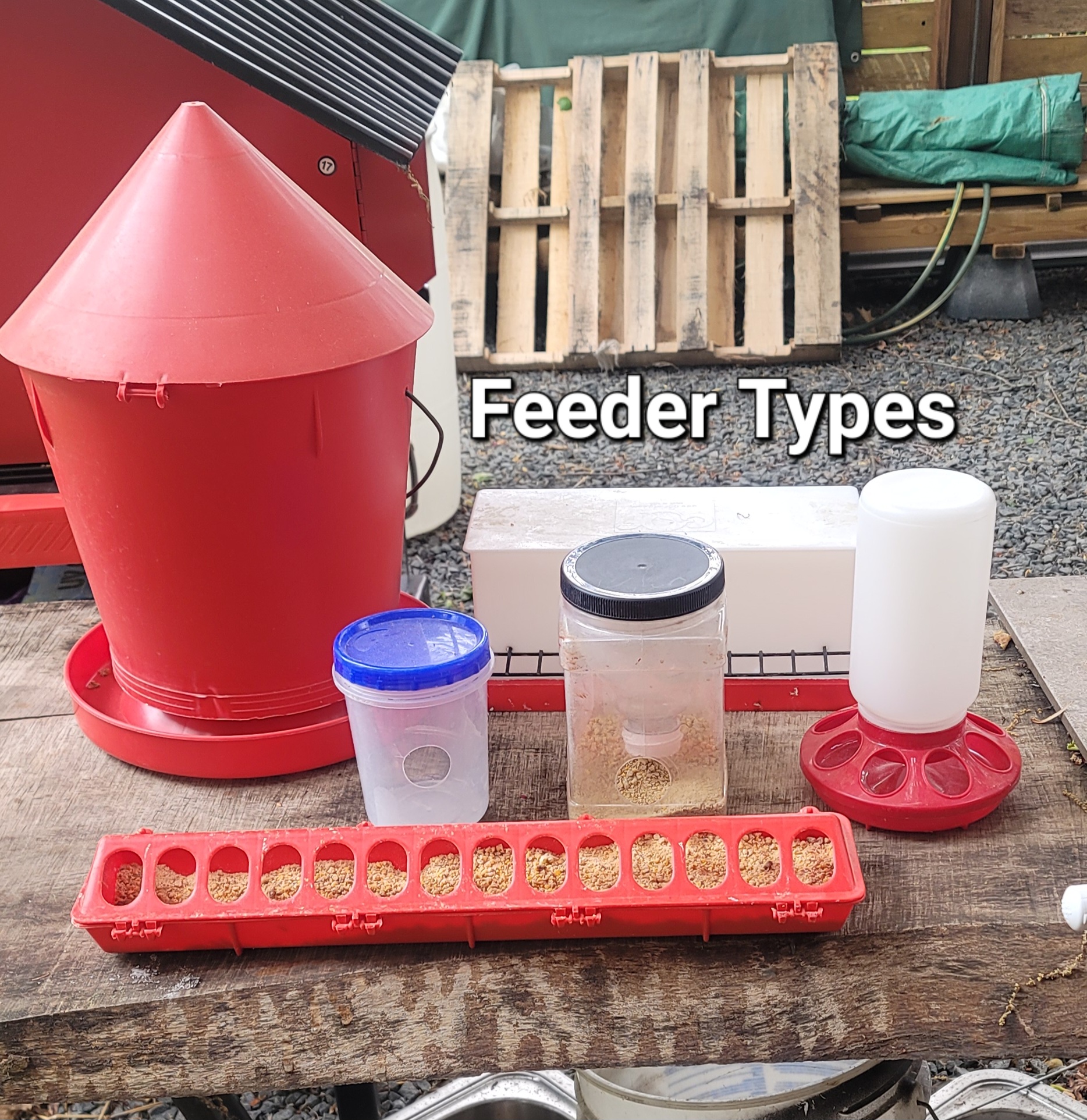 US Quail Supply Quail feeders