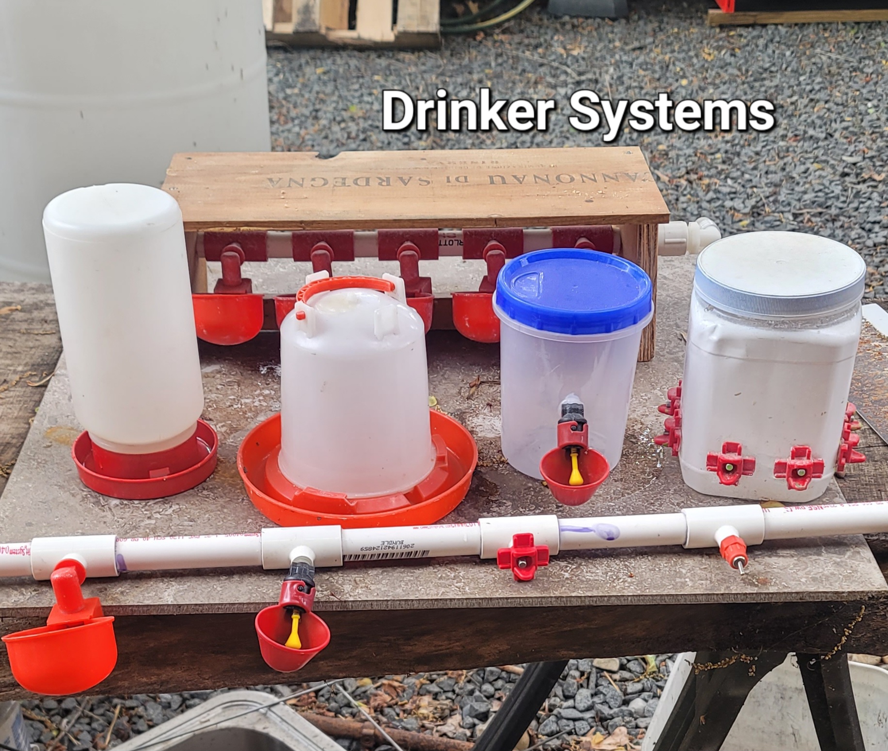 US Quail Poultry supply - Quail waterers and drinkers