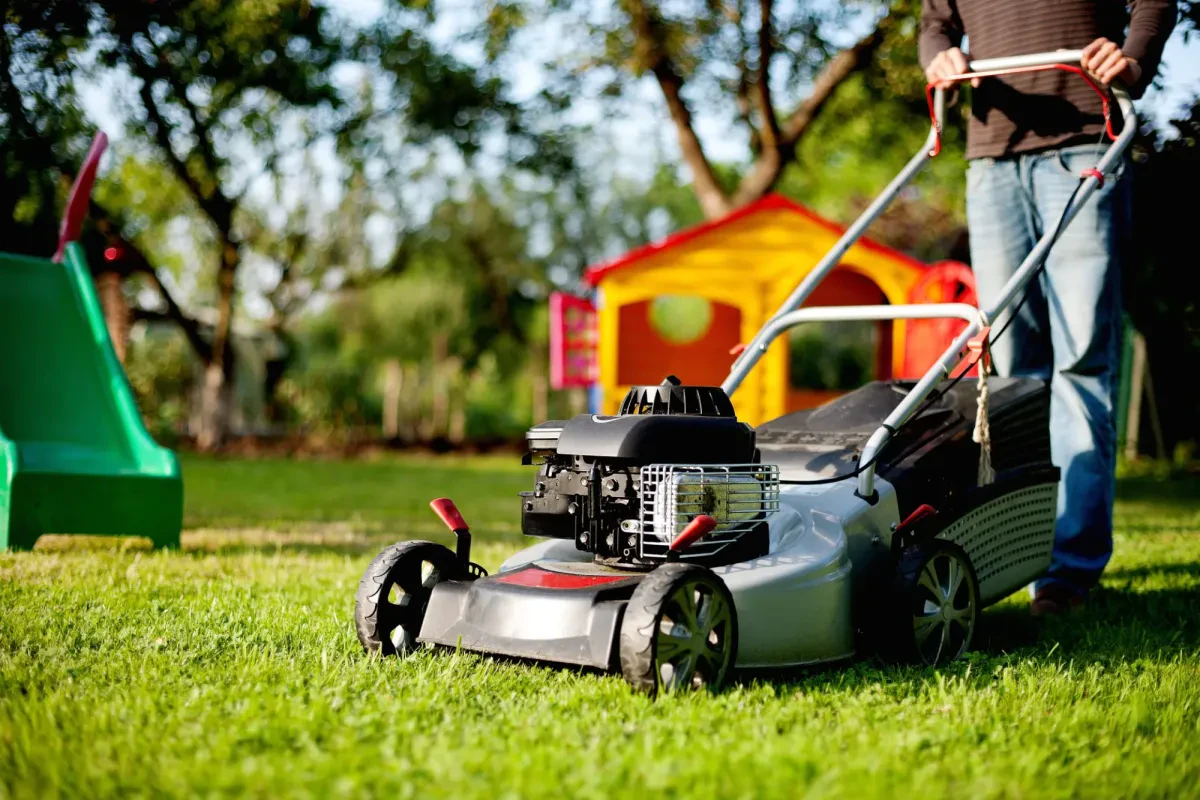 Power Up Your Yard with Lawn Mowers Petrol Self Propelled