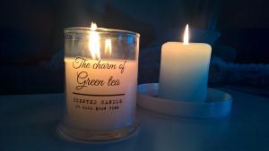 When it comes to freshening up the atmosphere of a home, people often find themselves choosing between scented candles and air fresheners...