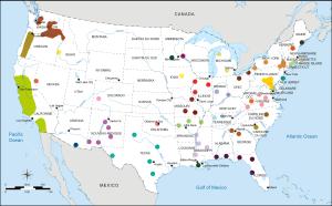 Explore the Finest Vineyards in America with the Ultimate Top 10 Picks