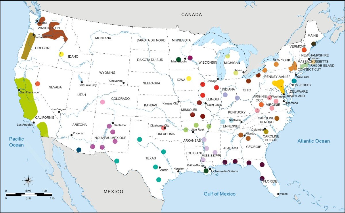 America's Best Vineyards: Top 10 Picks