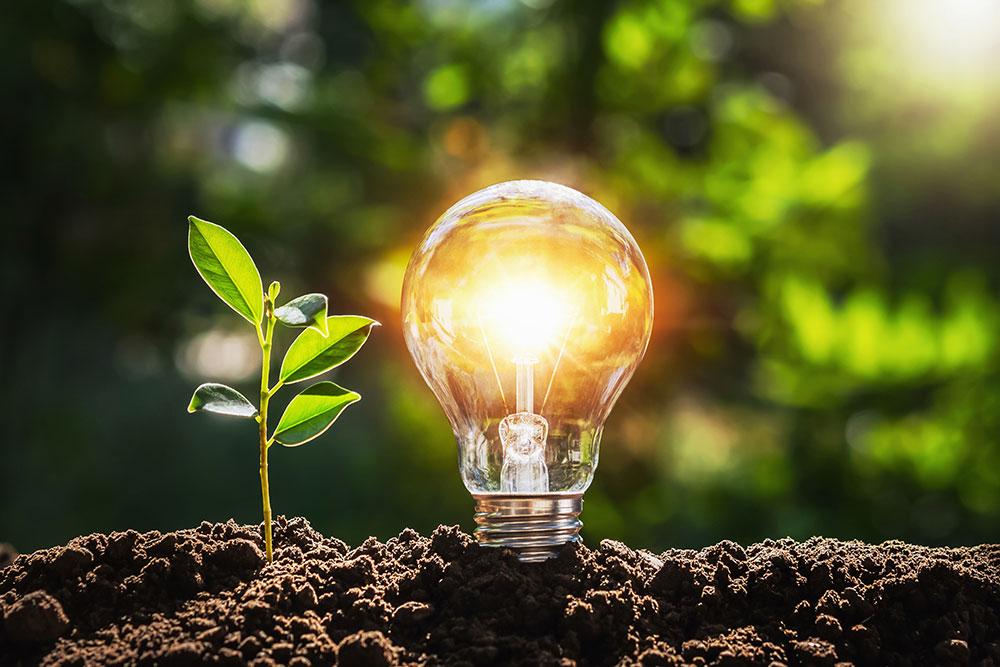 How Do Solar Lights Work?