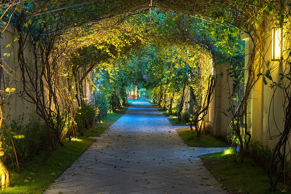 Garden Lighting Design