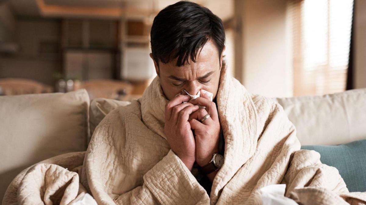 Best Immune Support Supplements for Cold & Flu Season 