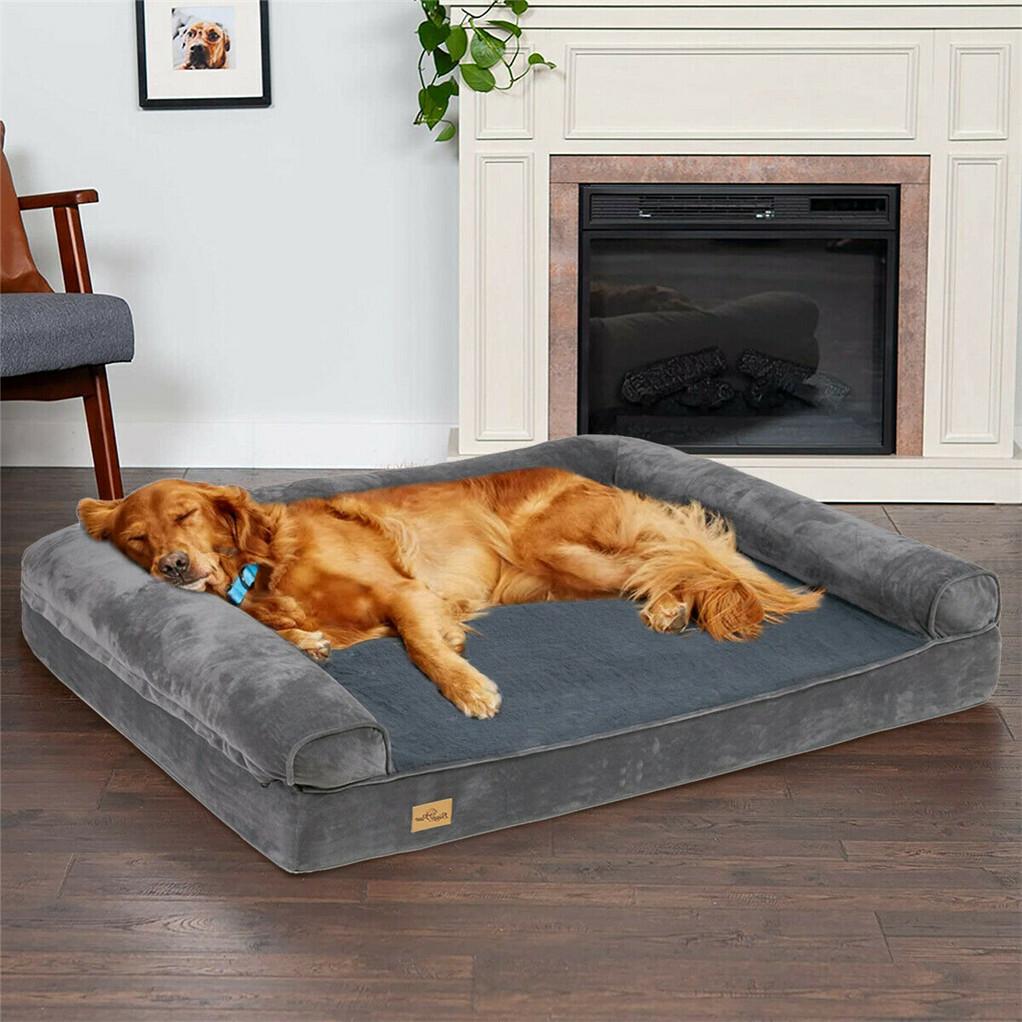 Best Dog Beds