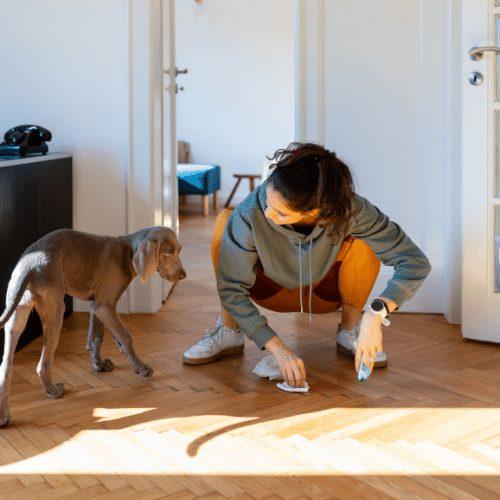 Puppy Potty Training Guide