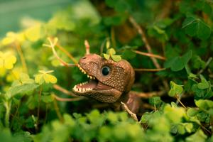 A Journey Through Pop Culture in Vinyl