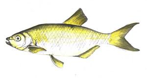 Essential Strategies for Thriving in Challenging Conditions