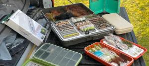 For Different Species