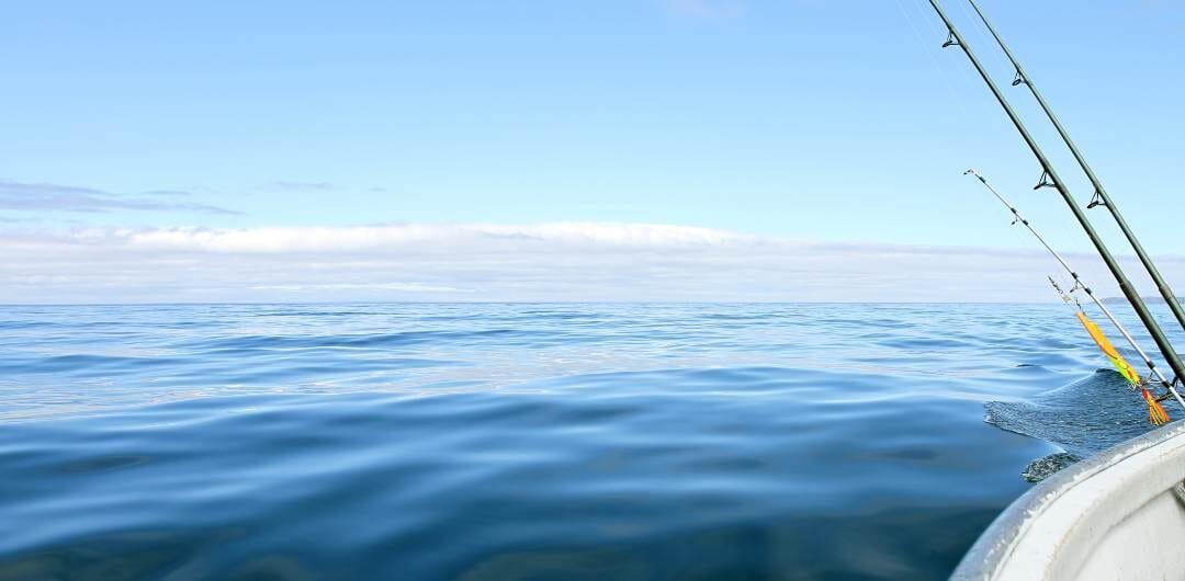 Saltwater Fishing Gear Guide