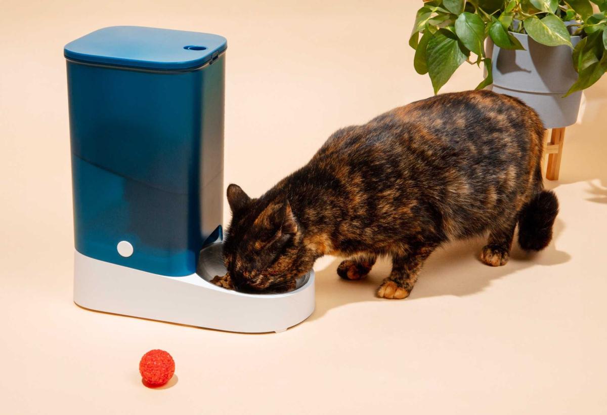 Discover Automatic Pet Feeder Benefits Today