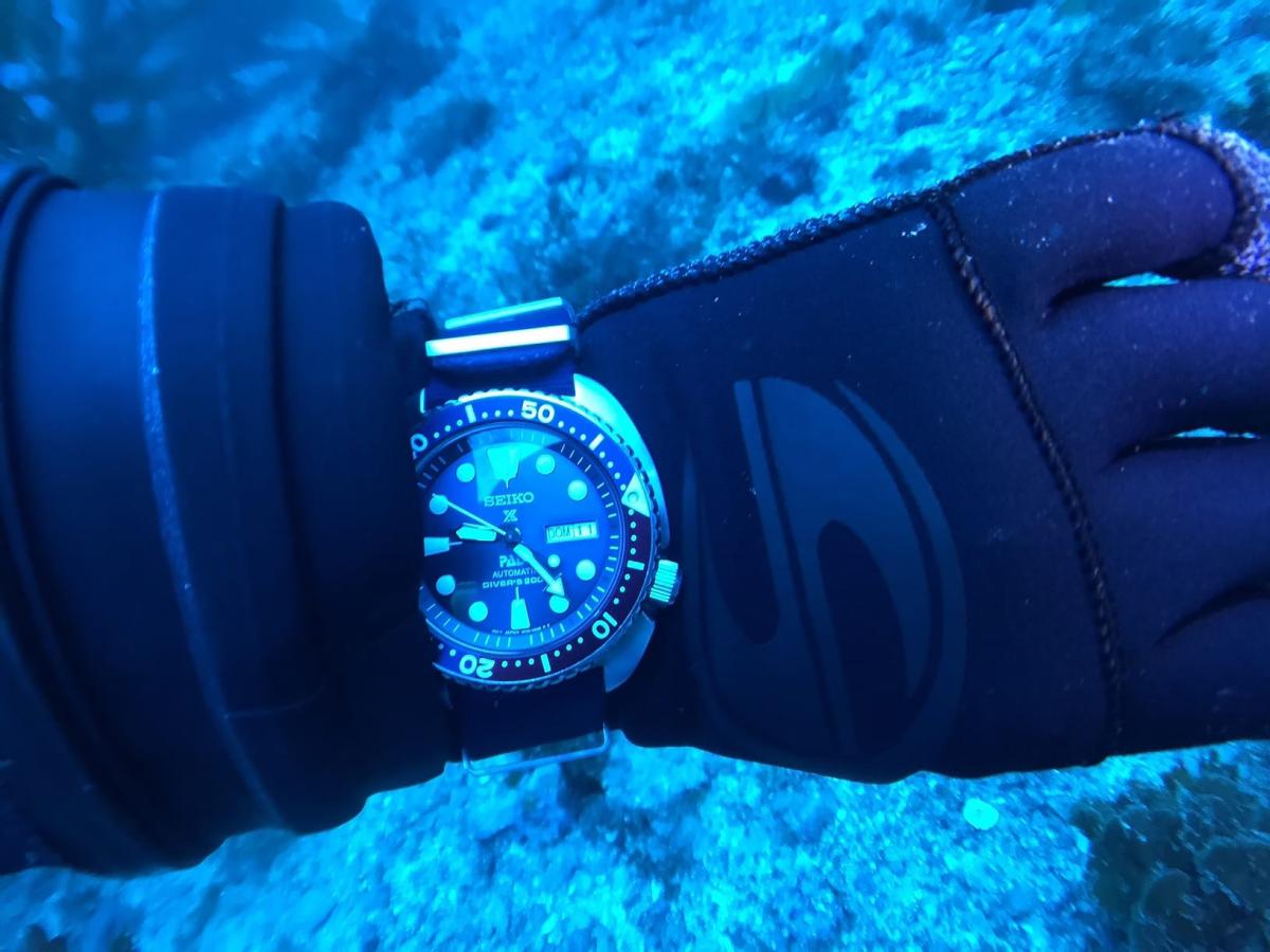 Best Dive Watches for Beginners and Professionals