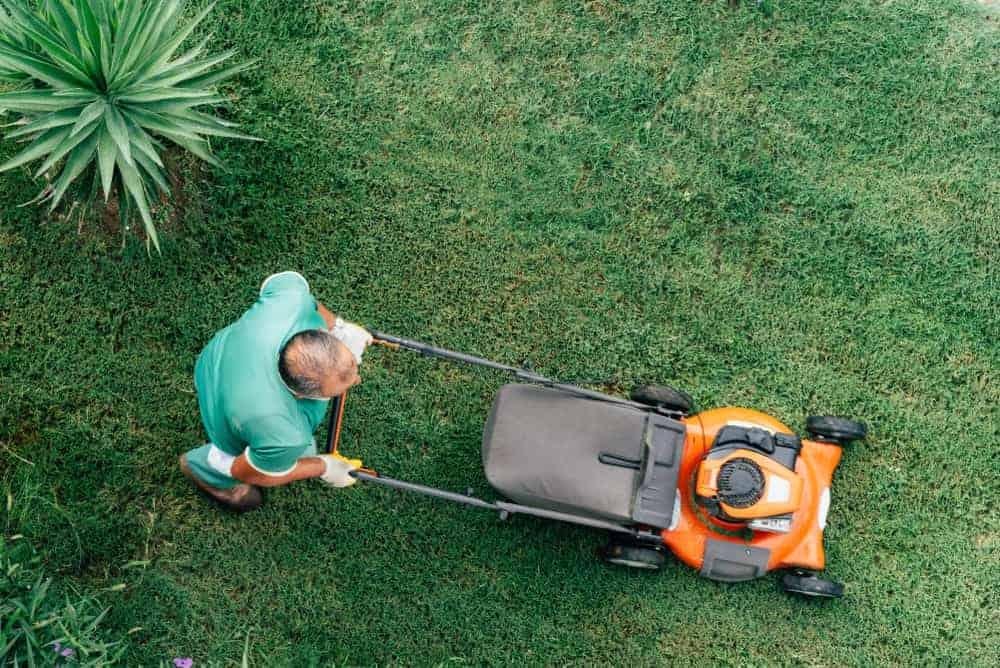 Best Lawn Mowers for Small Yards, Large Properties & Everything In Between