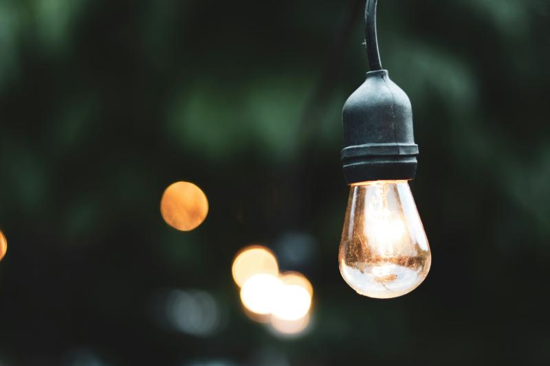 Brighten Up Your Outdoor Space with These Must-Have Picks