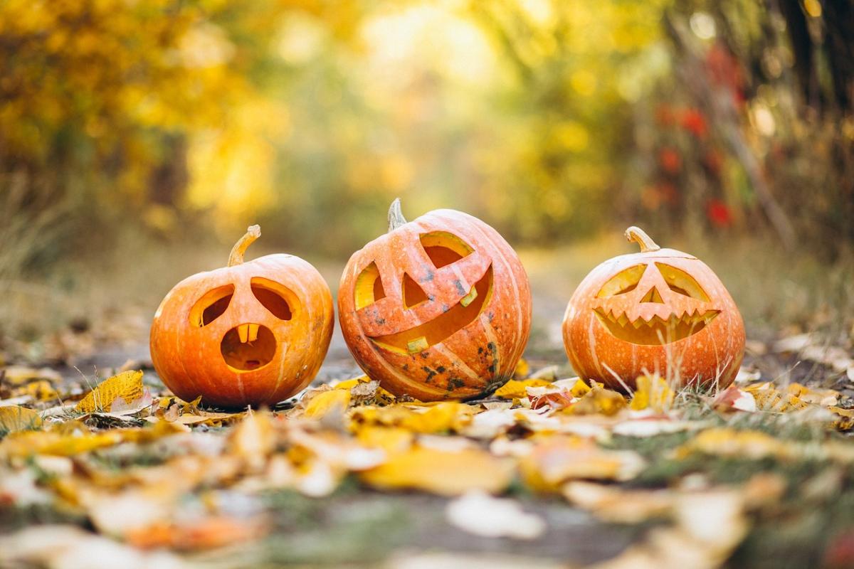 Spook-tacular Costumes for Your Furry Friends