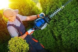Essential Power Tools Every Serious Gardener Must Have