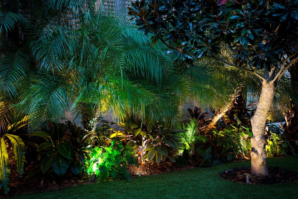 Best Garden Lighting Ideas 