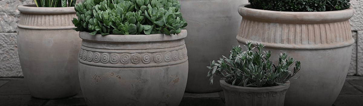 Best Planters and Pots 