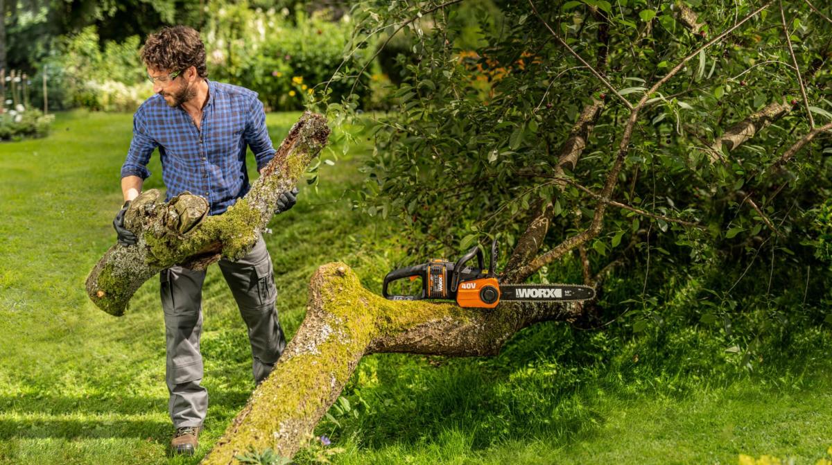 How to Choose the Right Chainsaw