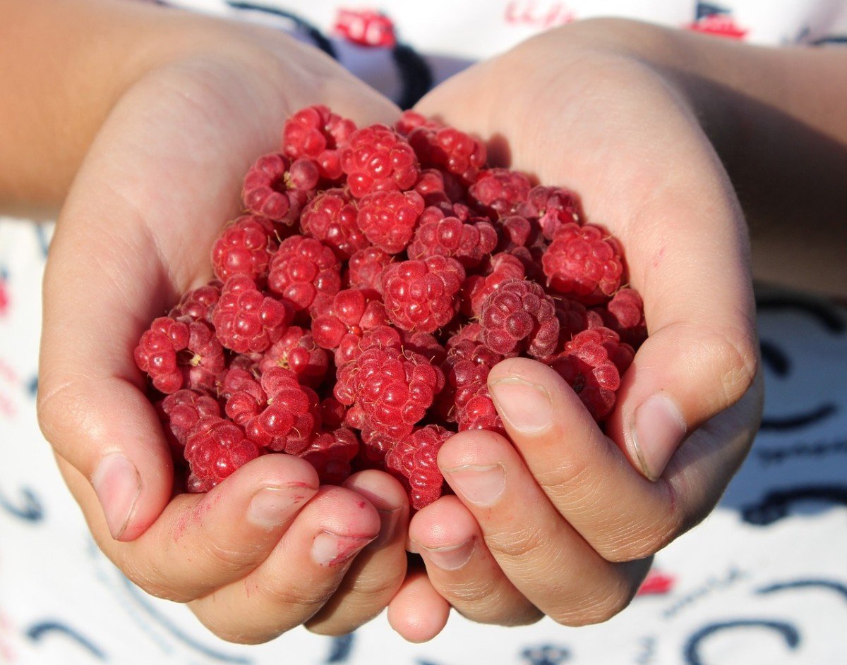 Unlocking Ascorbic Acid Vitamin C Benefits Today