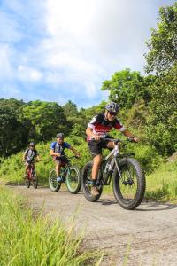 Stay Safe and Have Fun on Your Next Mountain Biking Excursion with These Tips!