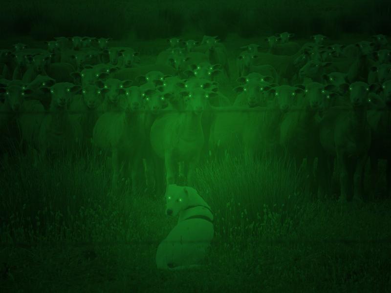 See Clearly in the Dark with Advanced Optics