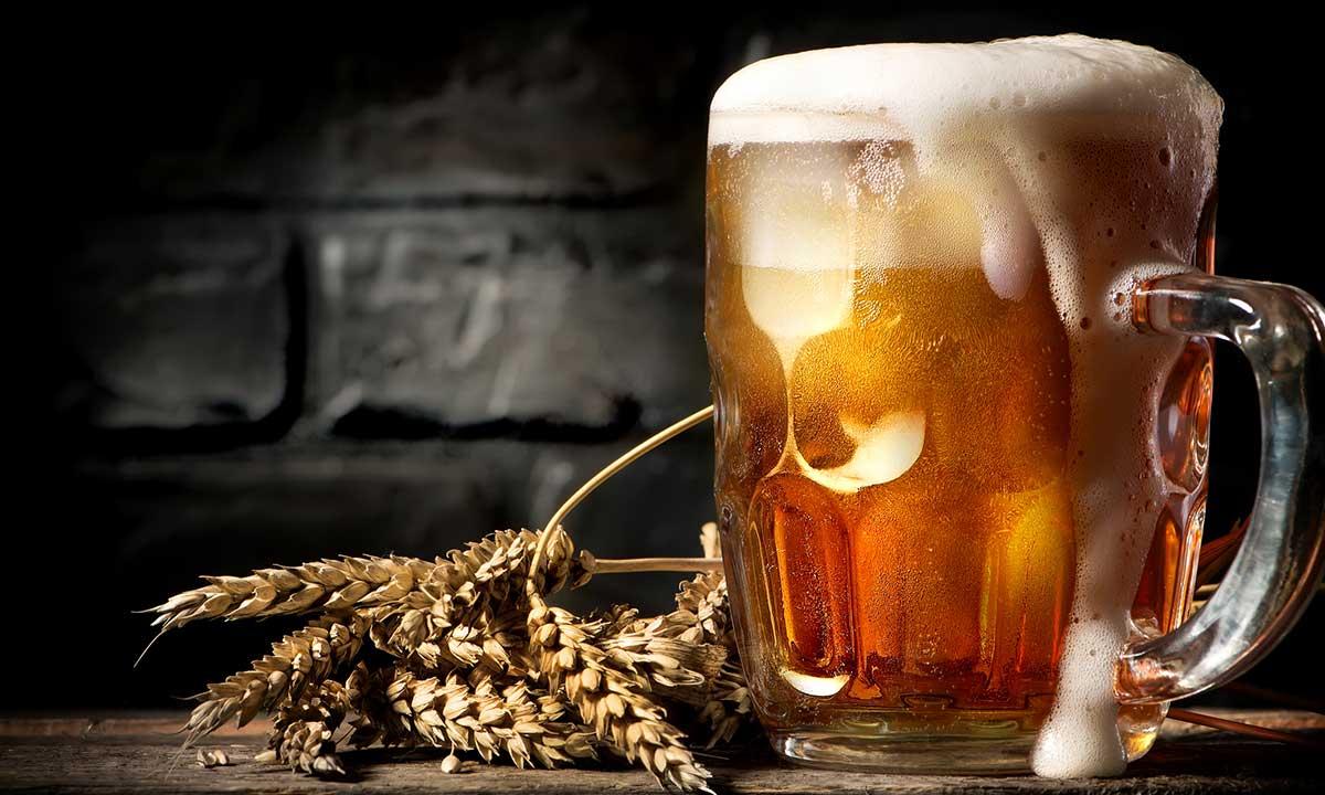 Best Beer Mugs and Glasses for Homebrewers