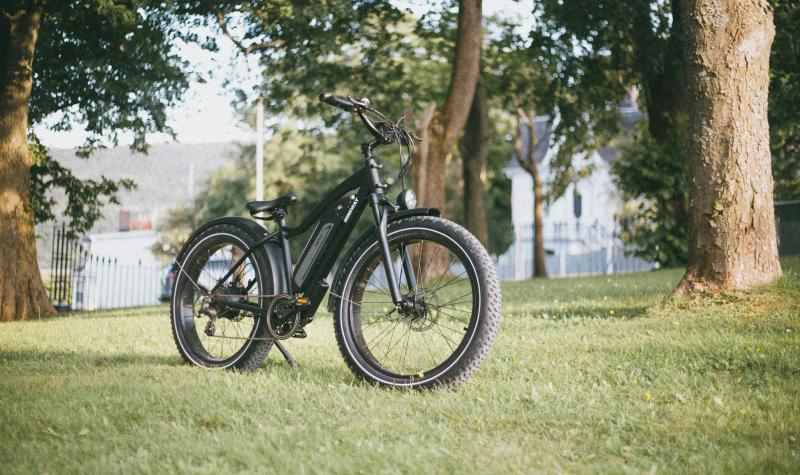 A Step-by-Step Guide to Electrifying Your Mountain Bike