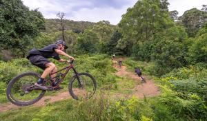 For Trail and Off-Road Riding