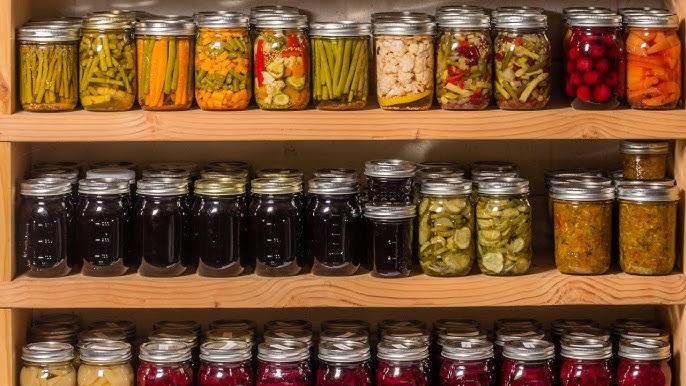 Best Sustainable Food Storage Containers – Glass vs Stainless Steel