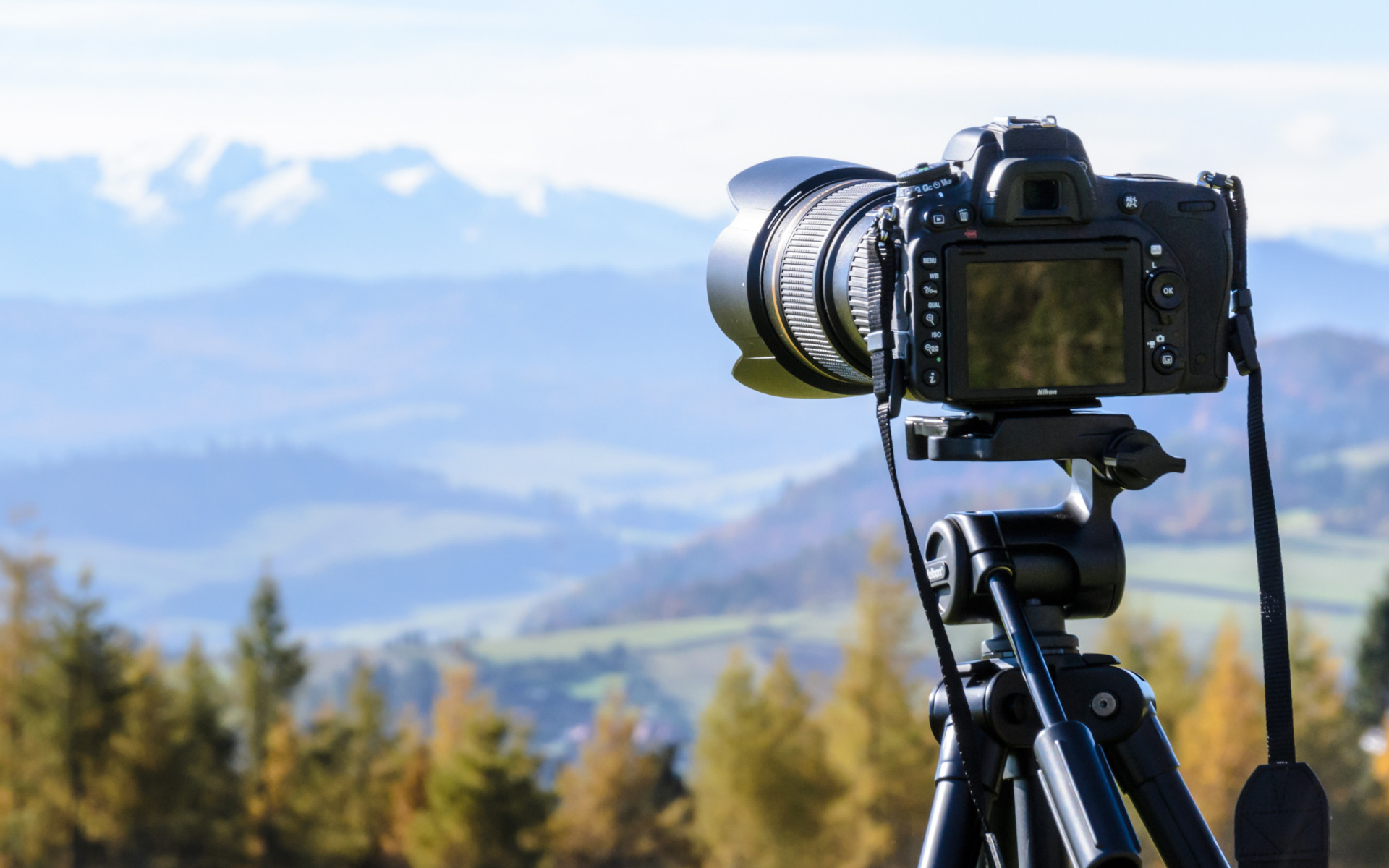Choose the Best Camera Lenses for Wildlife Photography