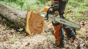 Discover the Best Chainsaw for Your Needs
