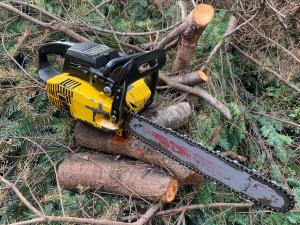 Discovering Quality and Performance in Every Cut