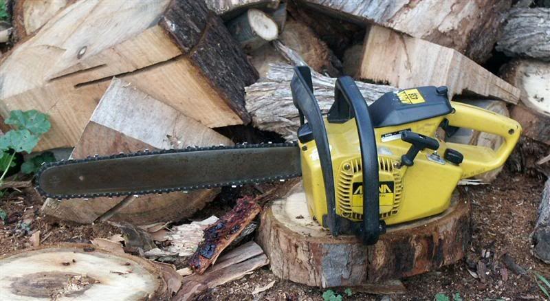 Alpina Castor Castelgarden Chainsaw Review: Craftsmanship and Power