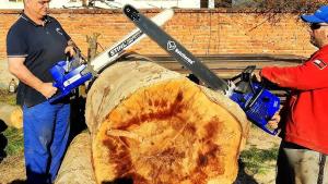 A Closer Look at Performance and Reliability in Logging Tools