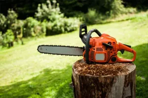 Discover the Best Features and Performance