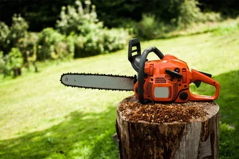 SilkPro Chainsaw Review of Top Models