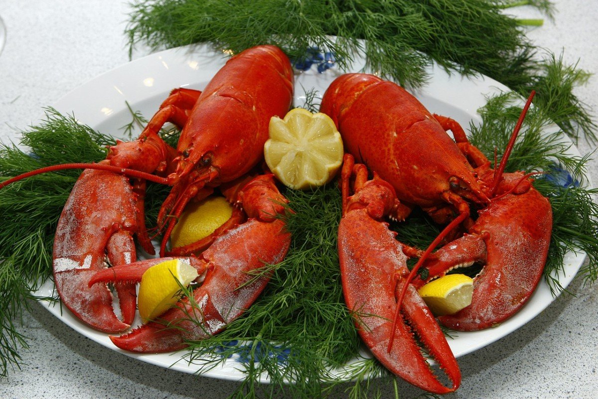 Mastering the Perfect Lobster Cooking Technique