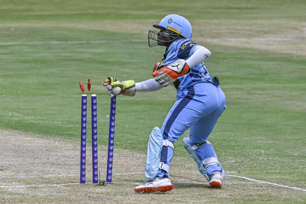 Best Cricket Protective Gear 