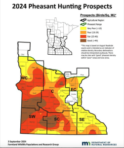 Top Spots to Find Pheasants in Minnesota's Public Lands