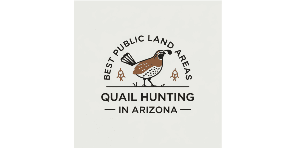 Best Public Land Areas for Quail Hunting in Arizona