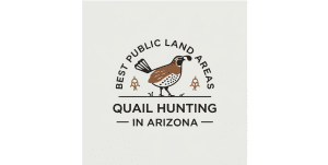 Discover Top Spots for Quail Hunting in Arizona