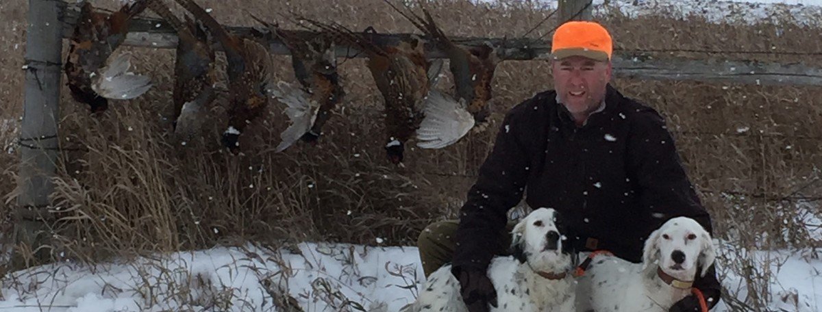 Best Upland Bird Hunting Tips for Success