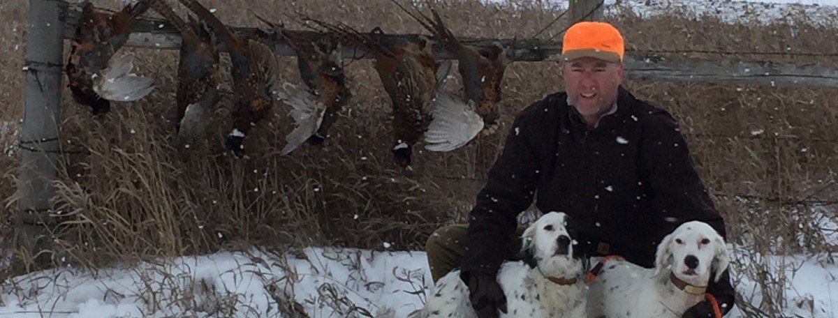 Best public land areas for pheasant hunting in Minnesota