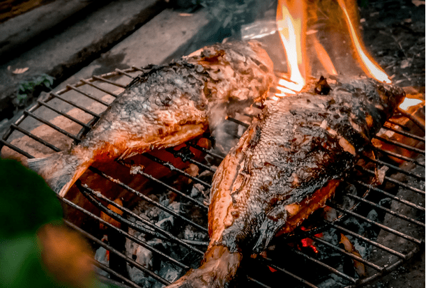 How to Grill Fish Without It Falling Apart