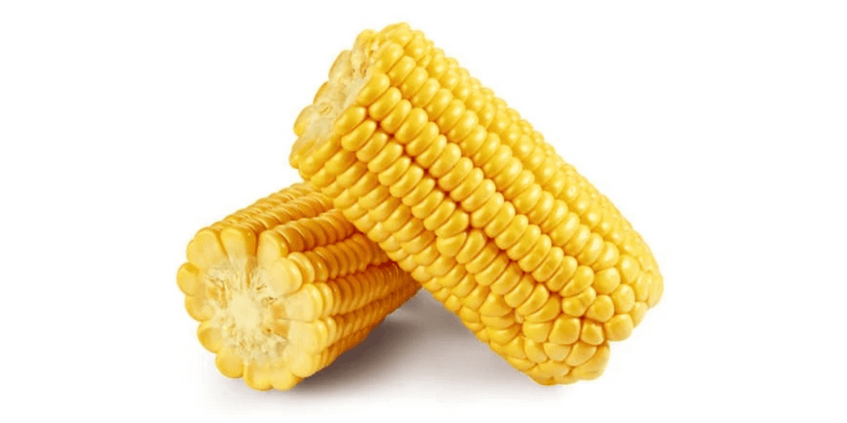 Grill Like a Pro: Mastering the Art of Roasting Corn on the Cob