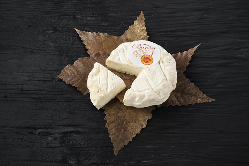 Exploring the Delicious Tastes of Banon Cheese from Provence