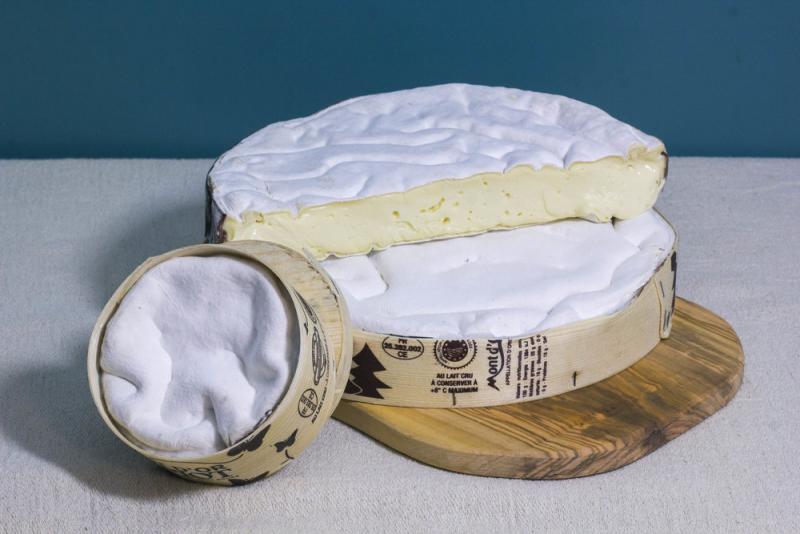 Understanding the unique qualities of each cheese and how they stand out