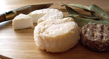 Pélardon: The Ancient Goat Cheese of the Cévenne